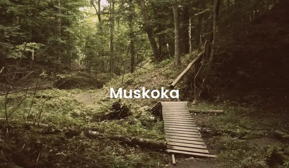 The best Airbnb in Muskoka