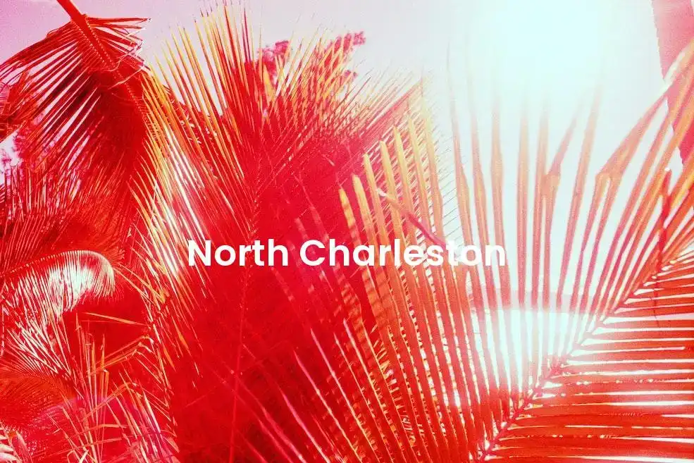 The best Airbnb in North Charleston