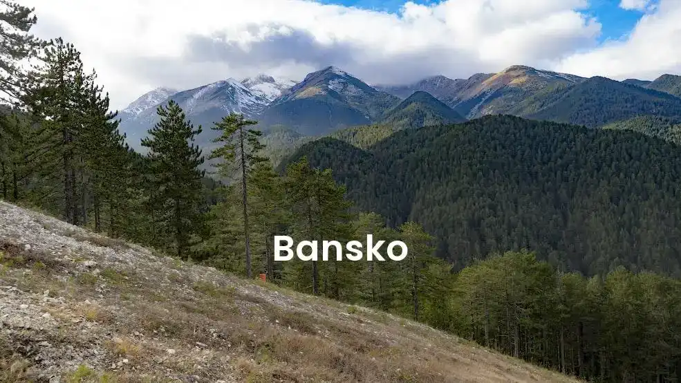 The best Airbnb in Bansko