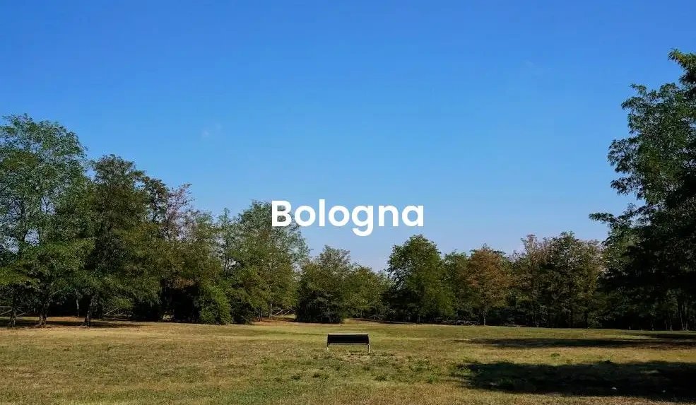 The best Airbnb in Bologna