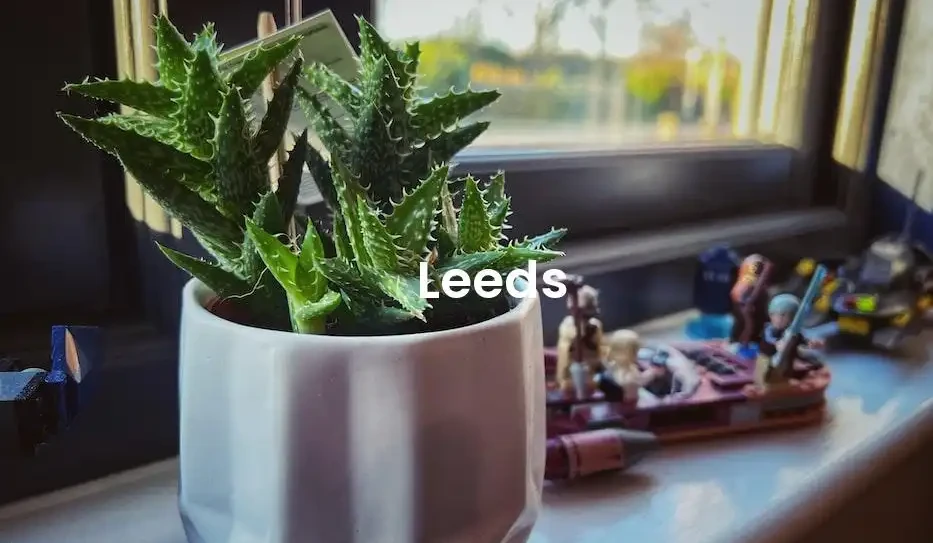 The best Airbnb in Leeds