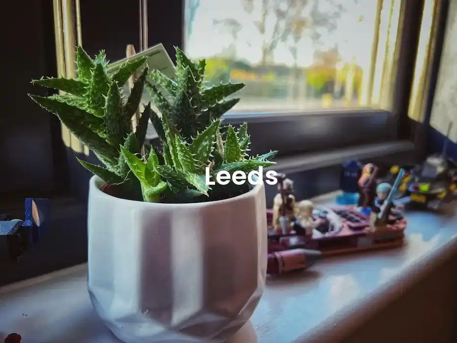 The best Airbnb in Leeds