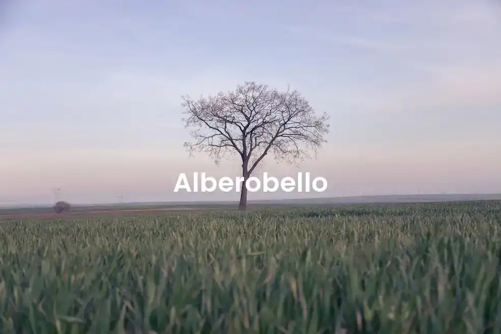 The best Airbnb in Alberobello