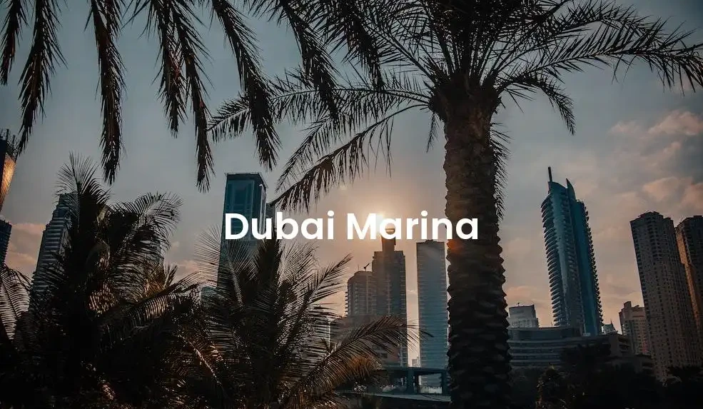 The best Airbnb in Dubai Marina