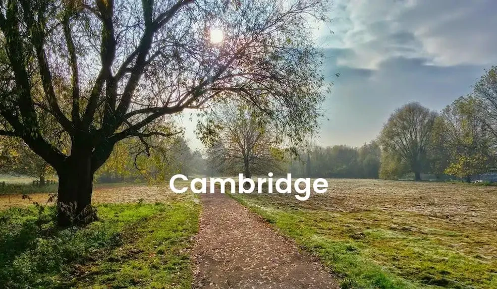 The best Airbnb in Cambridge