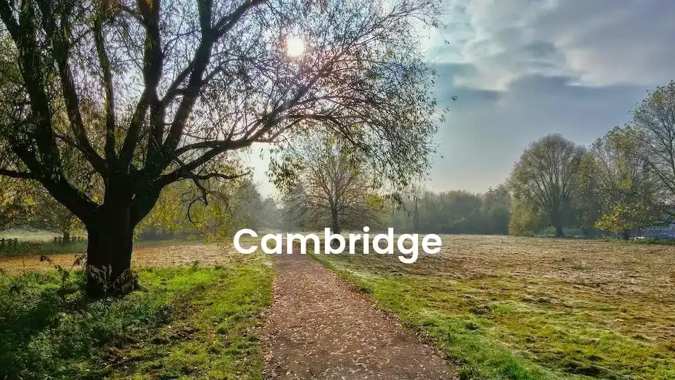 The best Airbnb in Cambridge