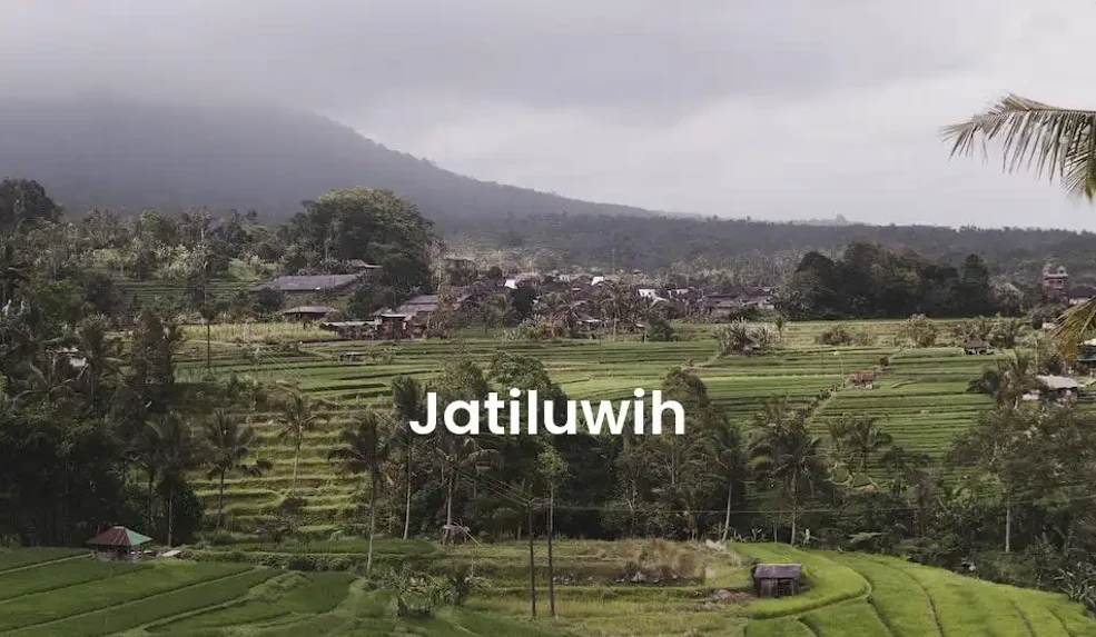 The best Airbnb in Jatiluwih