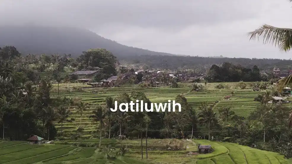 The best Airbnb in Jatiluwih