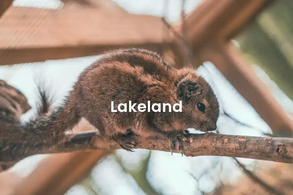 The best Airbnb in Lakeland