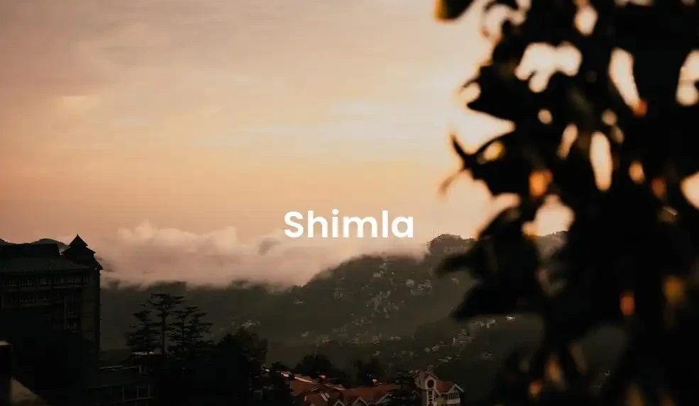 The best Airbnb in Shimla