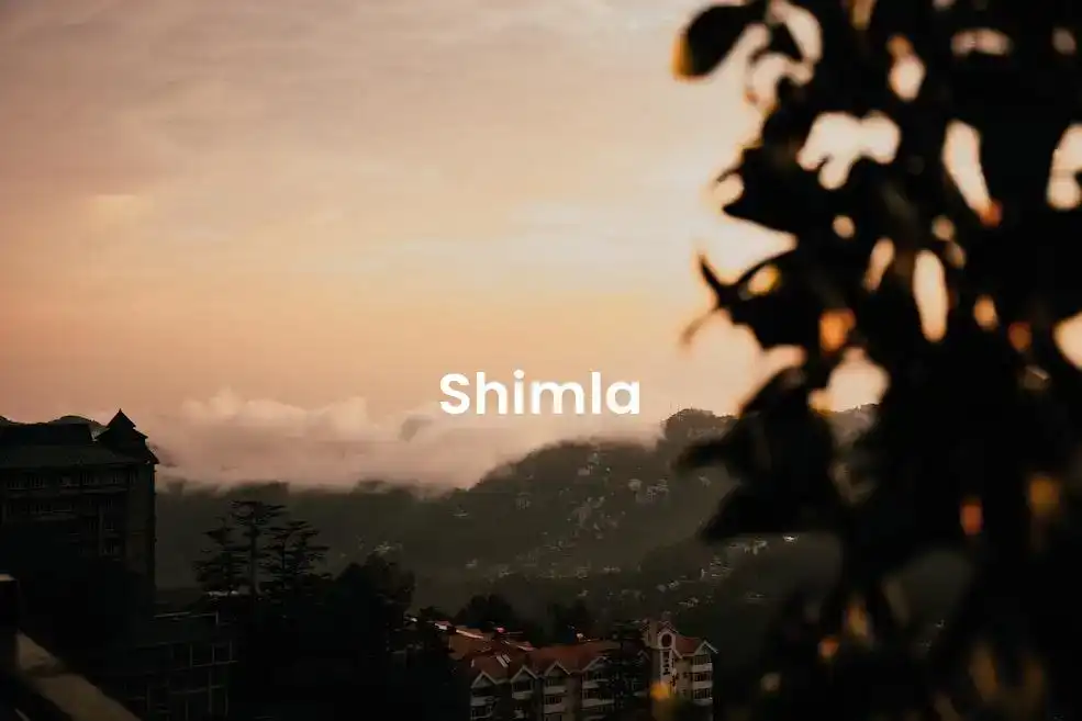 The best Airbnb in Shimla