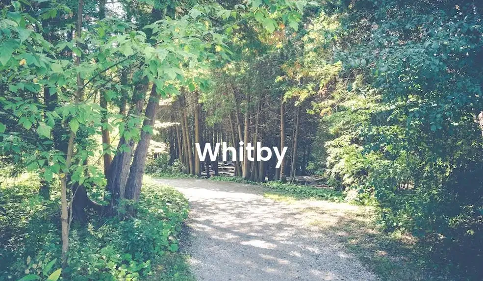 The best Airbnb in Whitby