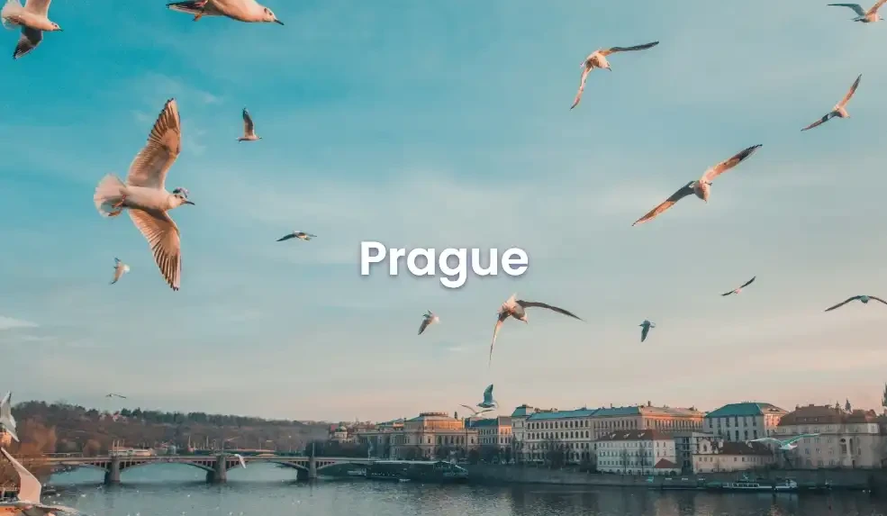 The best Airbnb in Prague