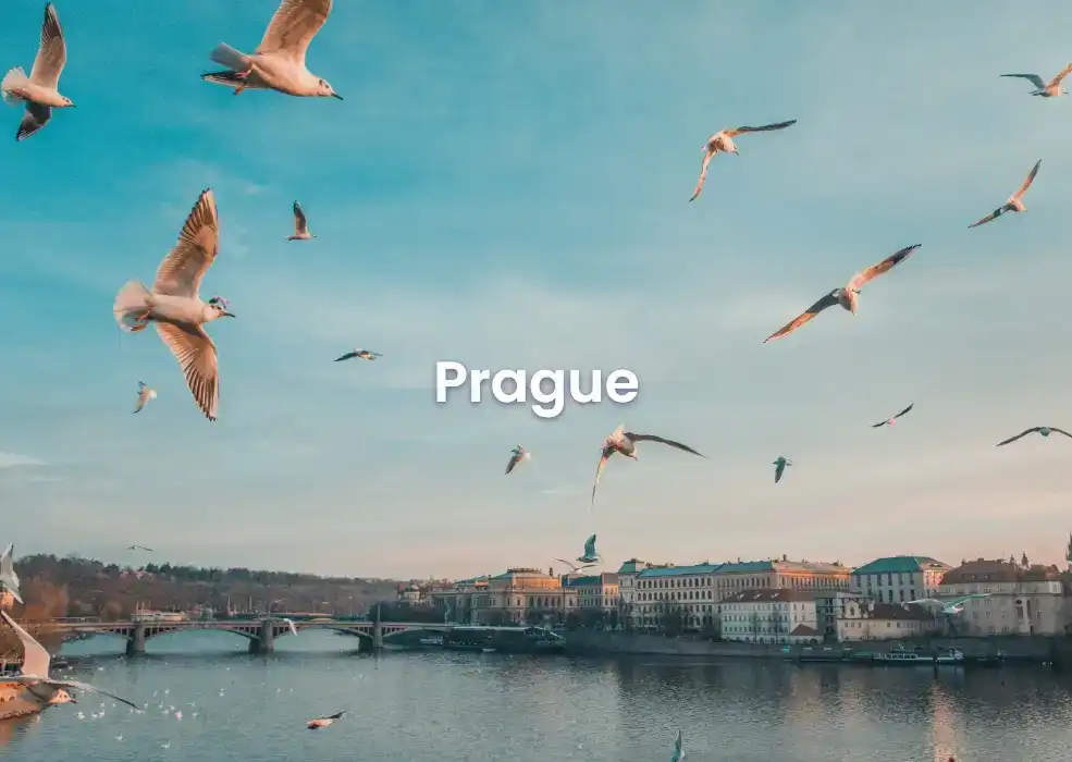 The best Airbnb in Prague