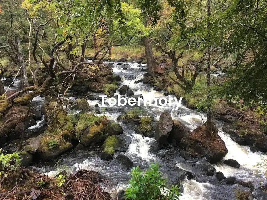 The best Airbnb in Tobermory