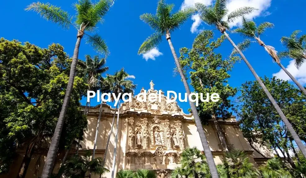 The best Airbnb in Playa Del Duque