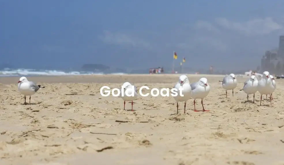 The best Airbnb in Gold Coast