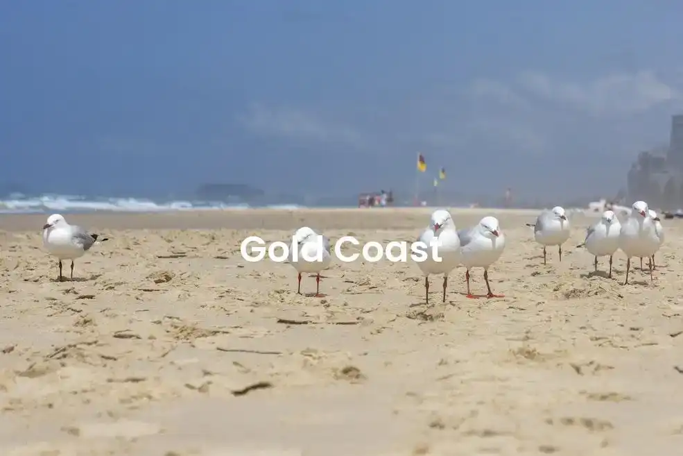 The best Airbnb in Gold Coast