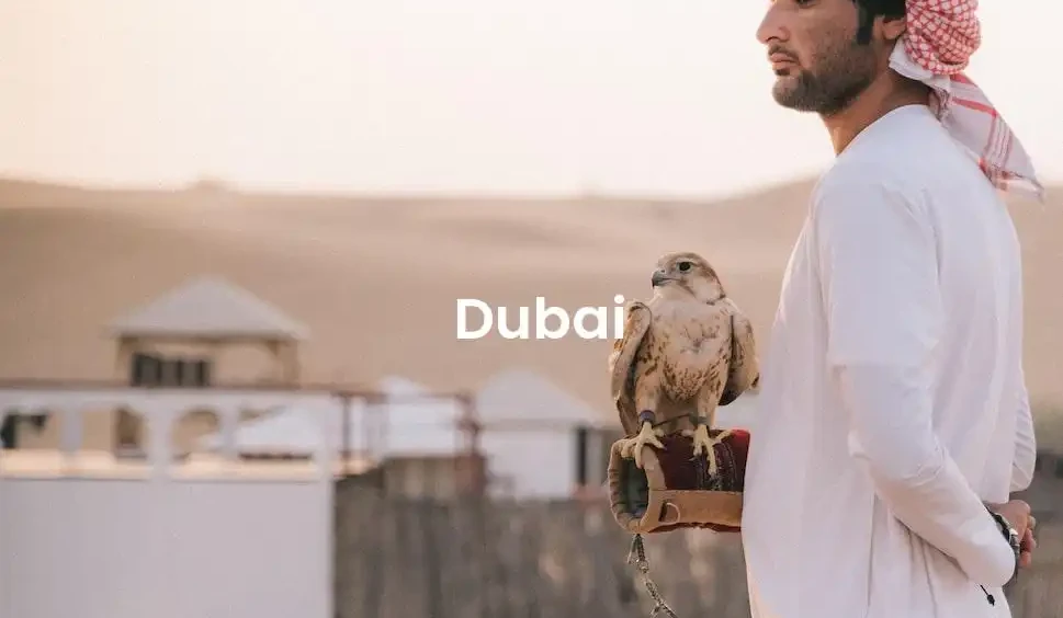 The best Airbnb in Dubai