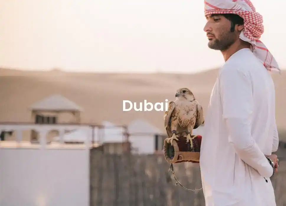 The best Airbnb in Dubai