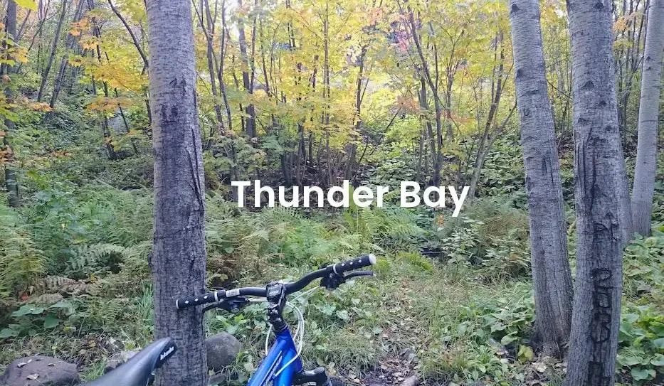 The best Airbnb in Thunder Bay