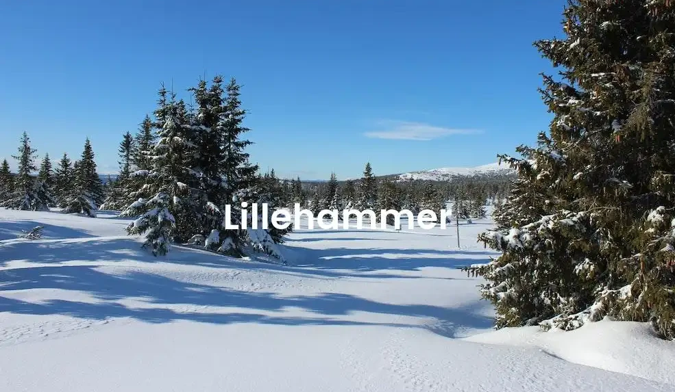 The best Airbnb in Lillehammer