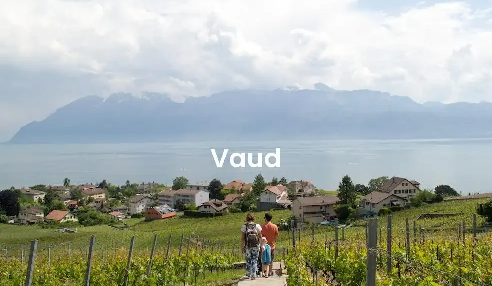 The best Airbnb in Vaud