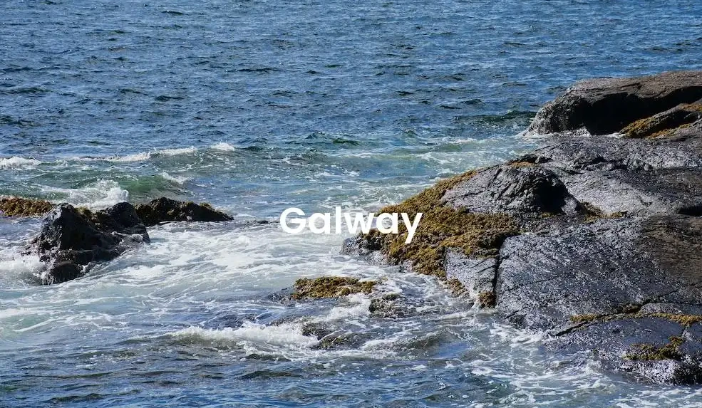 The best Airbnb in Galway