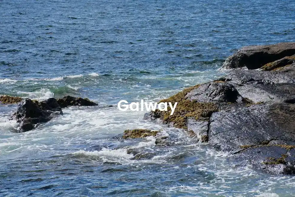 The best Airbnb in Galway