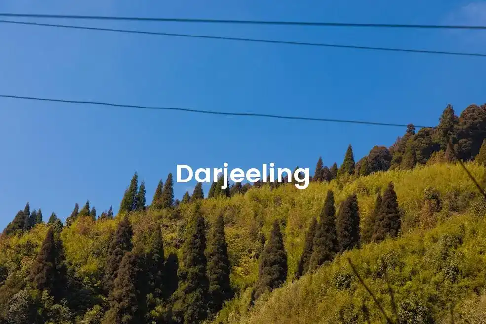 The best Airbnb in Darjeeling