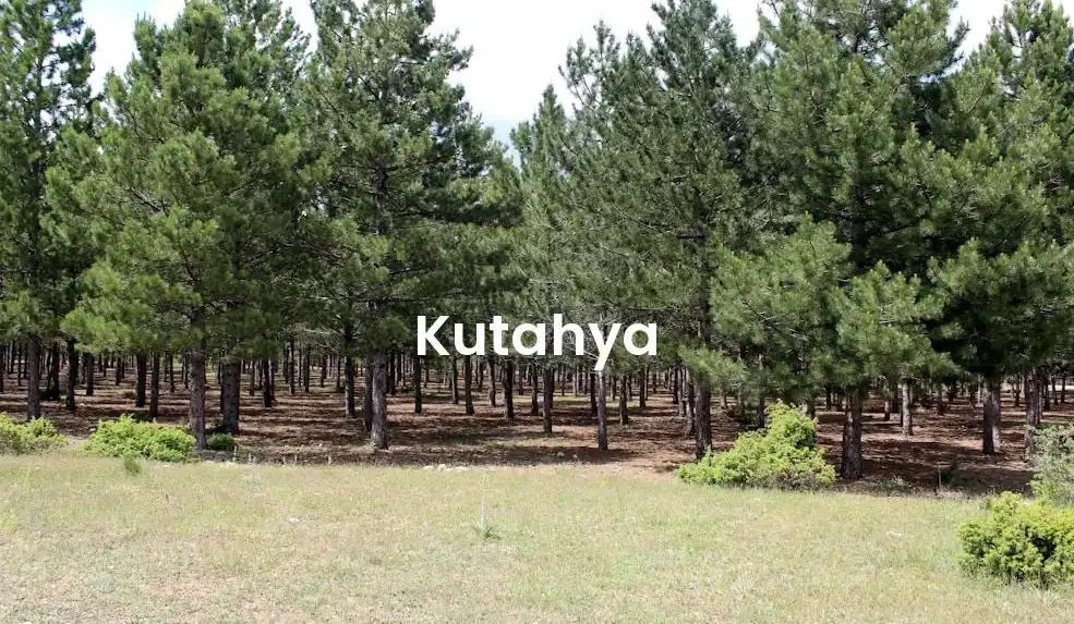 The best Airbnb in Kutahya