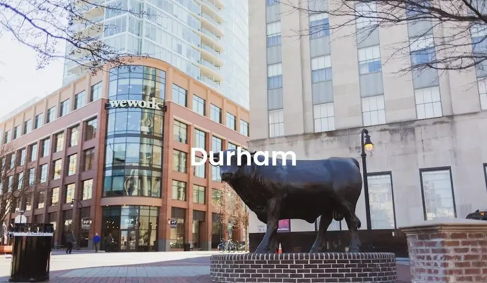 The best Airbnb in Durham