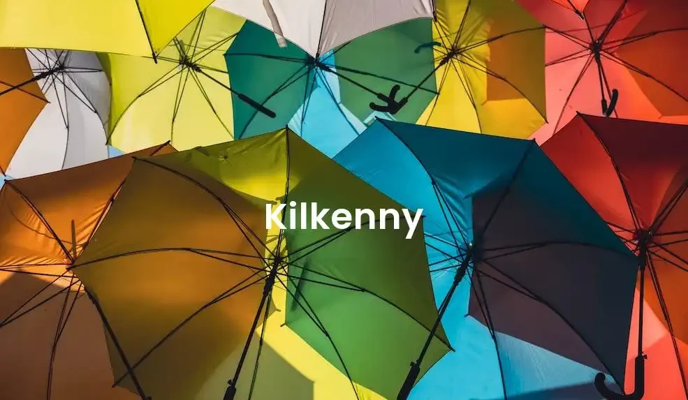 The best Airbnb in Kilkenny