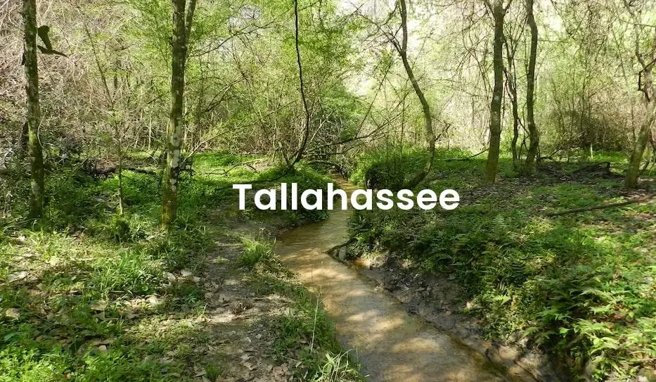 The best Airbnb in Tallahassee