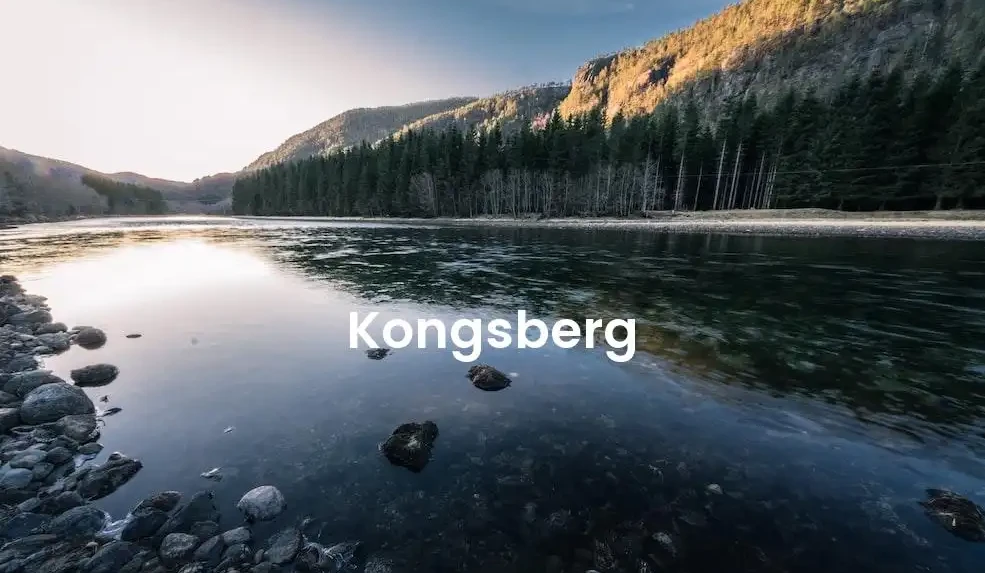 The best Airbnb in Kongsberg