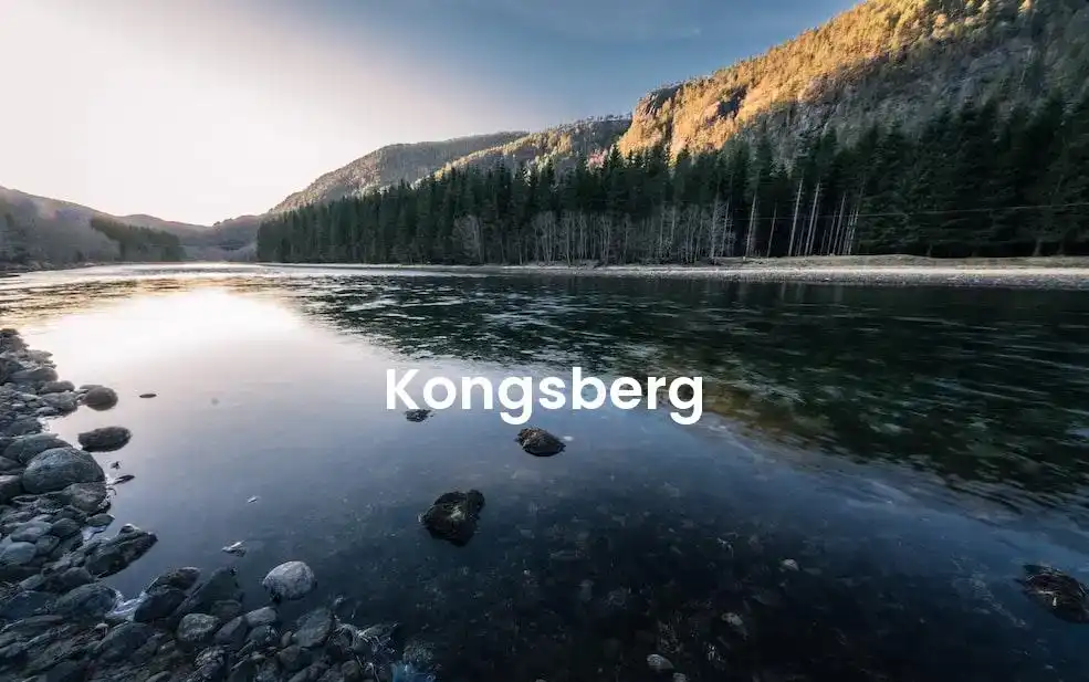 The best Airbnb in Kongsberg