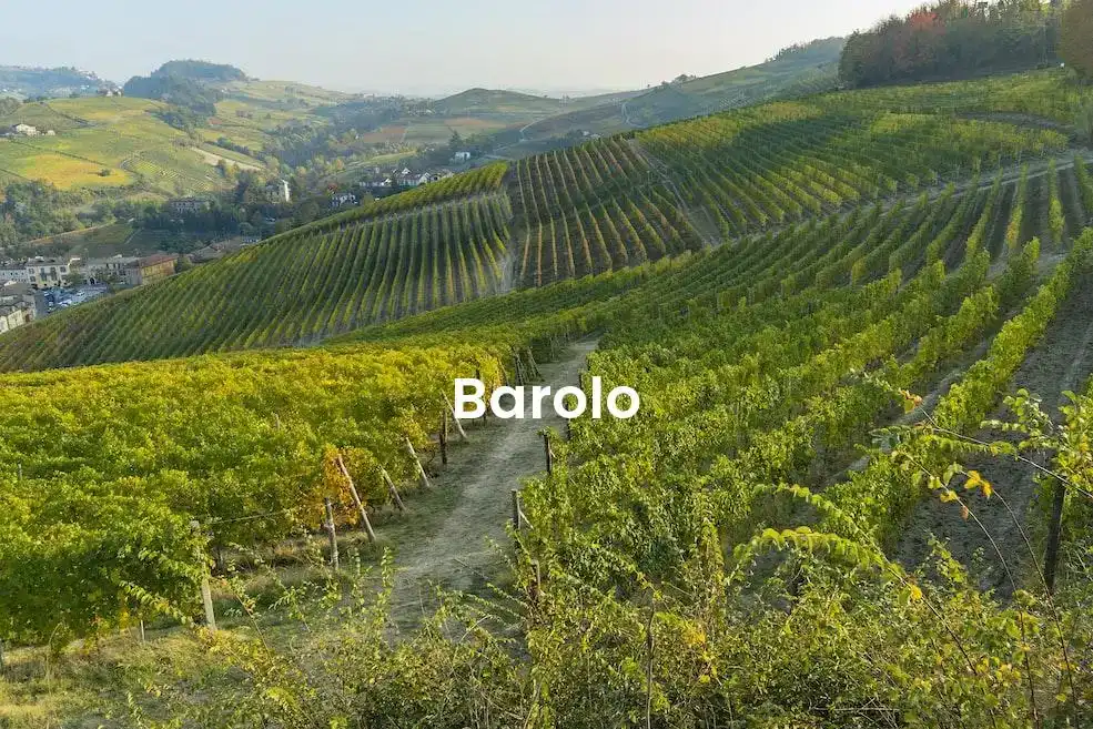 The best Airbnb in Barolo