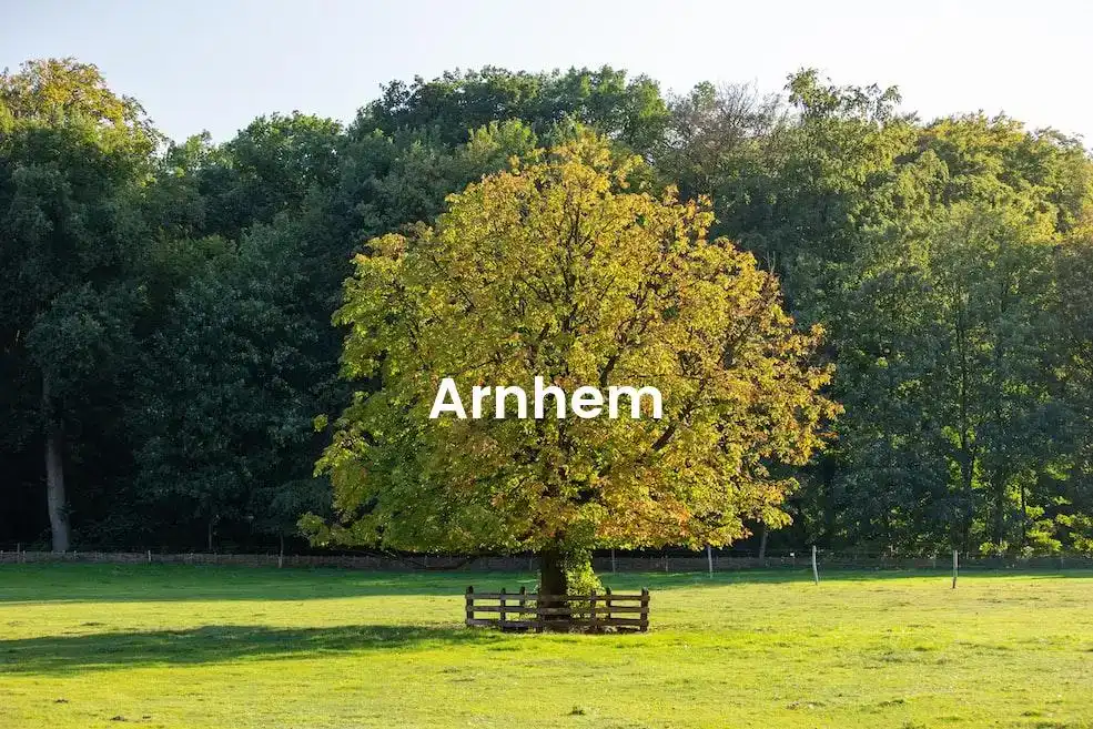 The best Airbnb in Arnhem