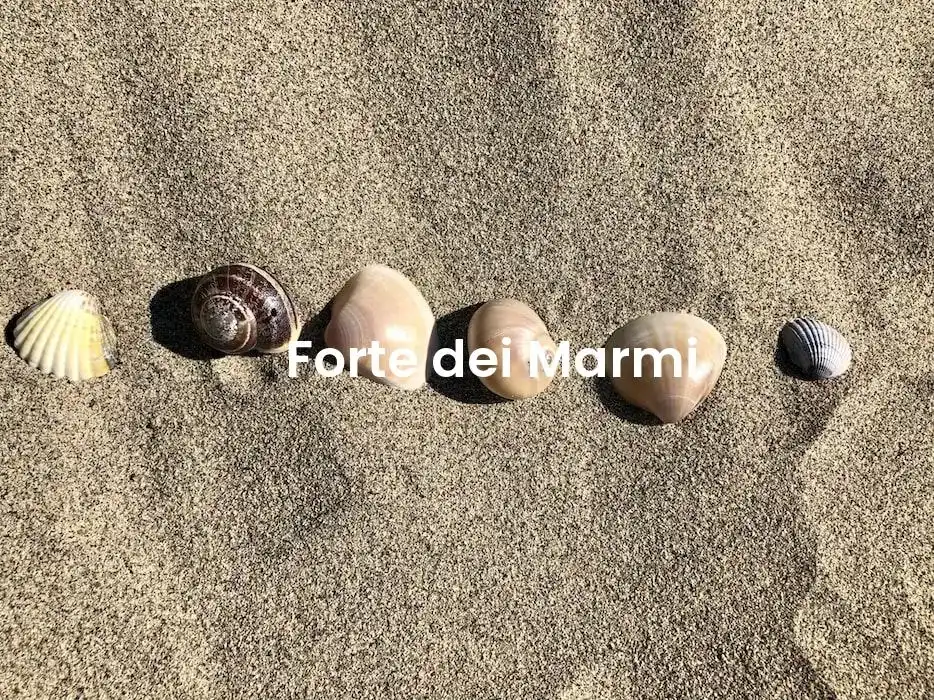 The best Airbnb in Forte Dei Marmi