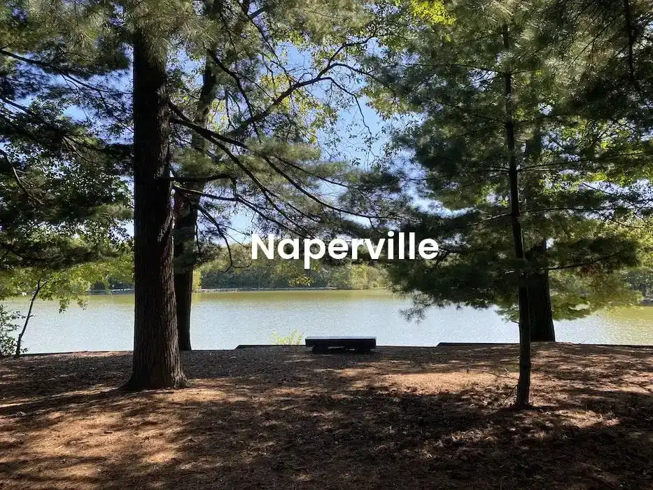 The best Airbnb in Naperville