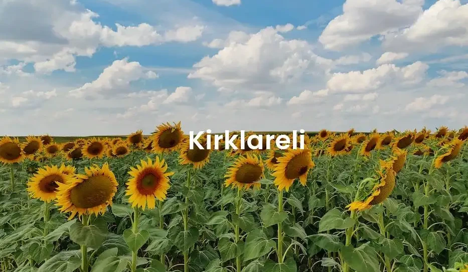 The best Airbnb in Kirklareli