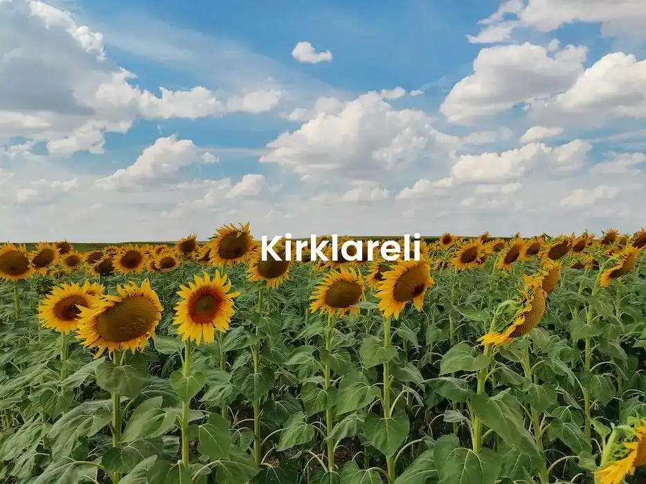 The best Airbnb in Kirklareli