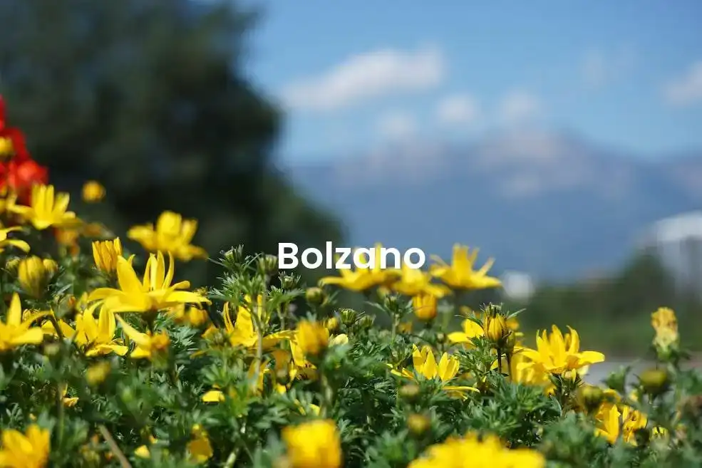 The best Airbnb in Bolzano