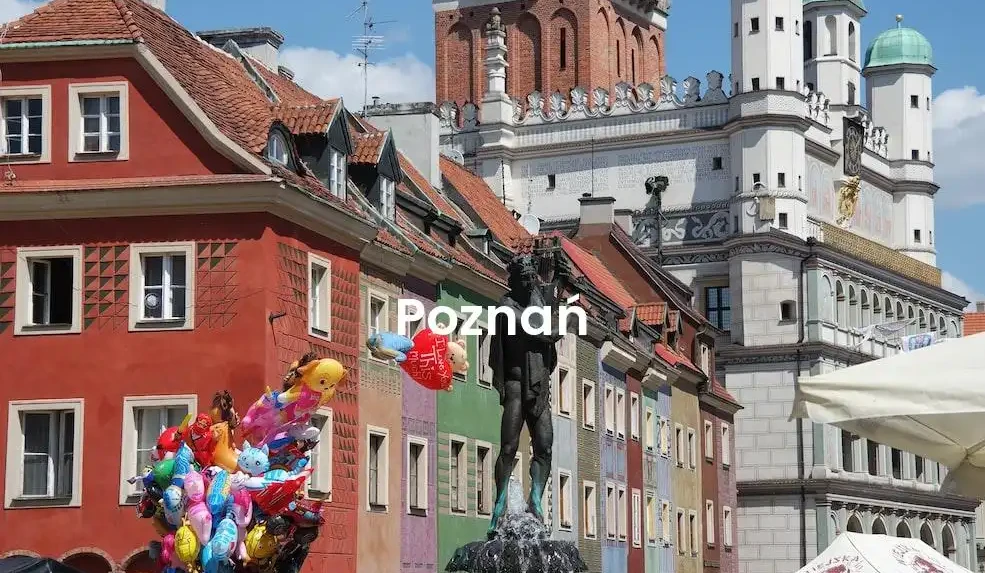 The best Airbnb in Poznań