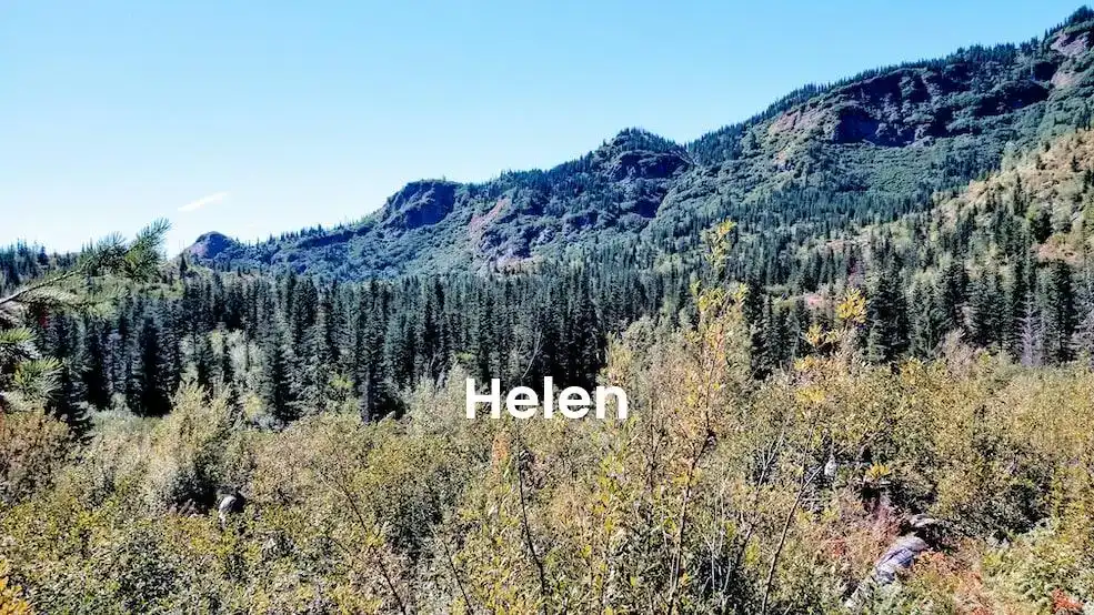 The best Airbnb in Helen