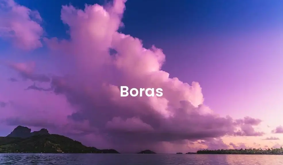 The best Airbnb in Boras