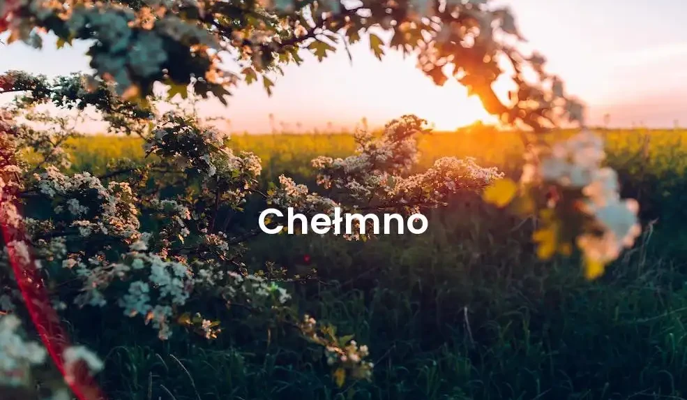 The best Airbnb in Chełmno