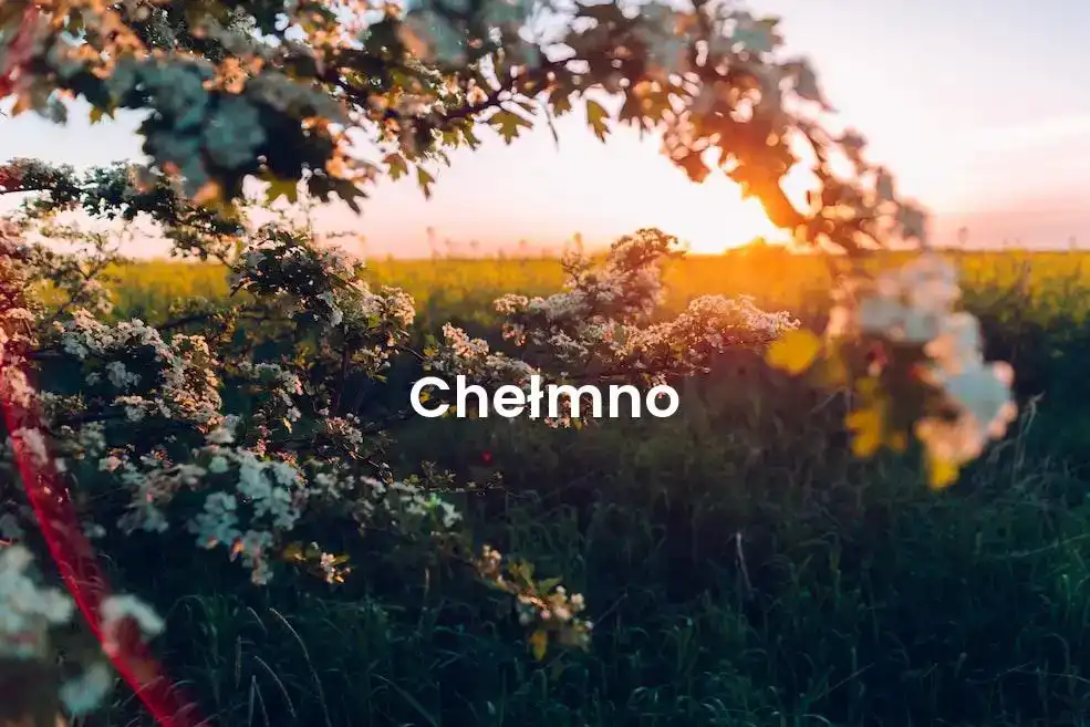 The best Airbnb in Chełmno