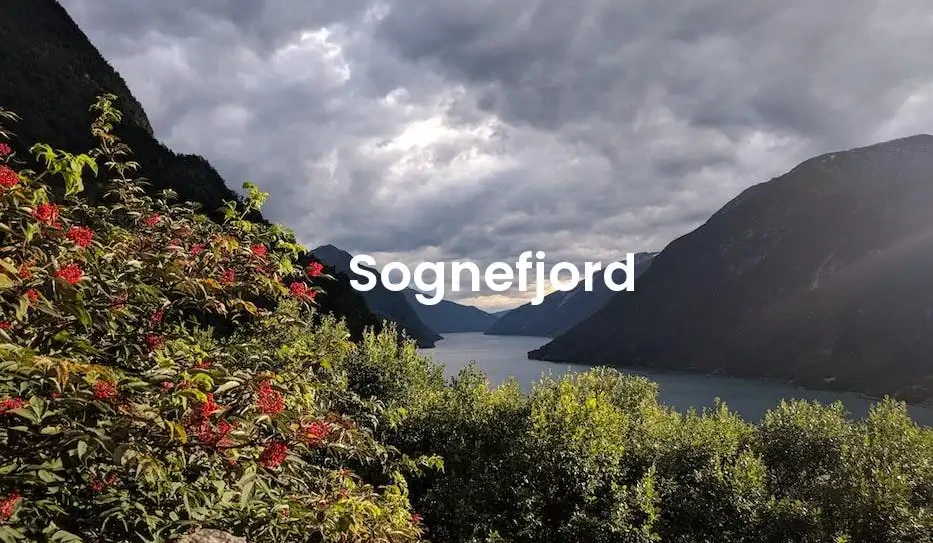 The best Airbnb in Sognefjord