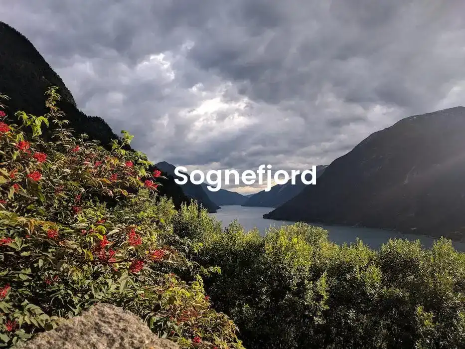 The best Airbnb in Sognefjord